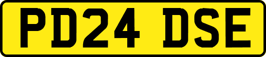 PD24DSE
