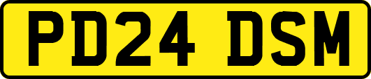 PD24DSM