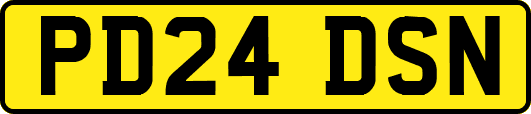 PD24DSN