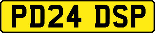 PD24DSP