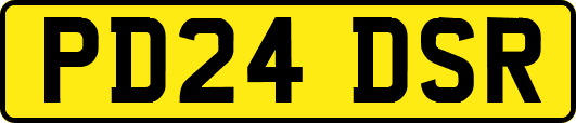 PD24DSR