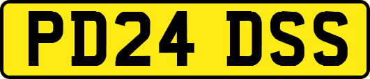 PD24DSS
