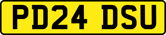 PD24DSU