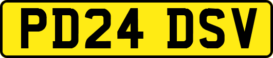 PD24DSV