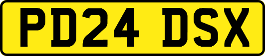 PD24DSX