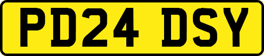 PD24DSY