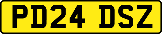 PD24DSZ