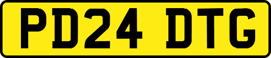 PD24DTG