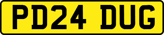 PD24DUG