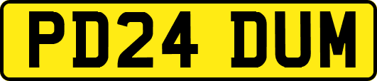PD24DUM