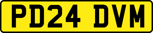 PD24DVM