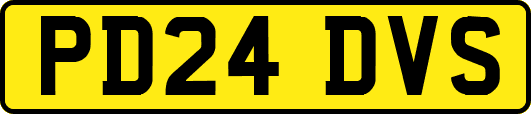 PD24DVS