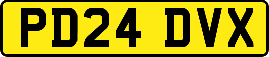 PD24DVX