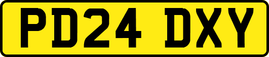 PD24DXY