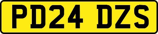 PD24DZS
