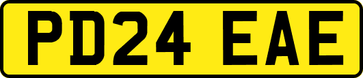 PD24EAE