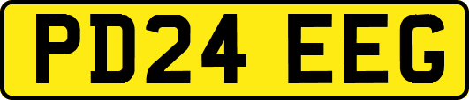 PD24EEG
