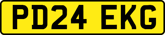 PD24EKG