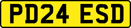 PD24ESD