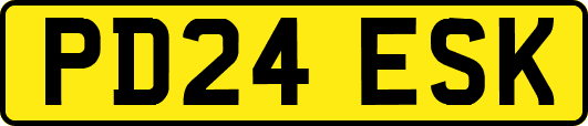 PD24ESK