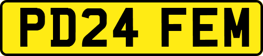 PD24FEM
