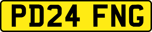 PD24FNG