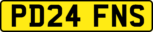 PD24FNS