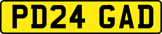 PD24GAD