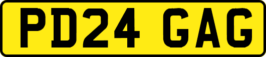 PD24GAG