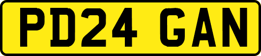PD24GAN
