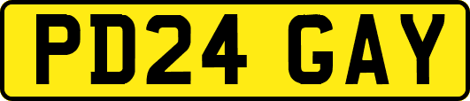 PD24GAY