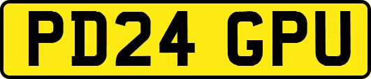 PD24GPU