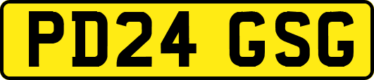 PD24GSG