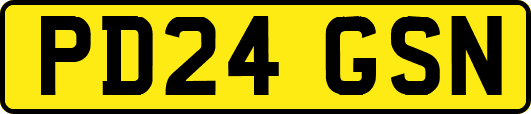 PD24GSN