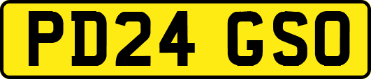 PD24GSO