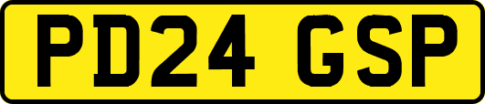 PD24GSP