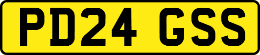 PD24GSS