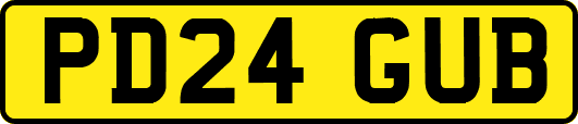 PD24GUB