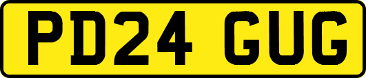PD24GUG