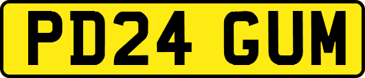 PD24GUM