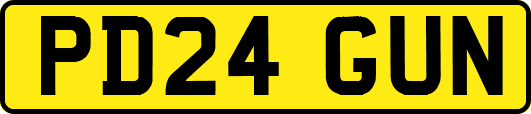 PD24GUN