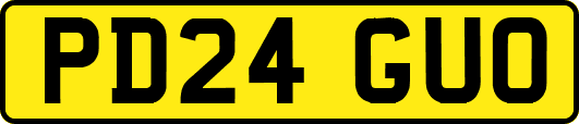 PD24GUO
