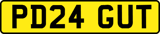 PD24GUT