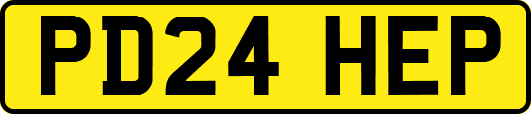 PD24HEP