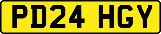 PD24HGY