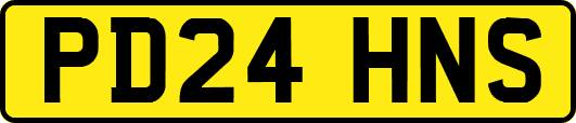 PD24HNS