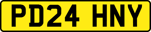 PD24HNY