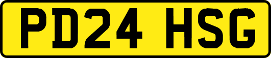 PD24HSG