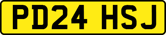 PD24HSJ