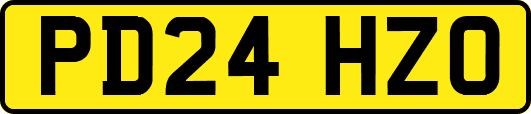 PD24HZO